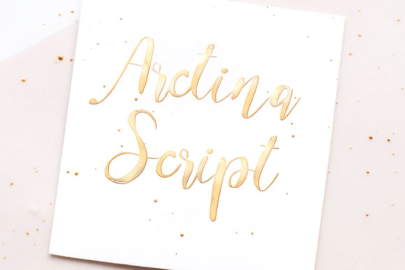 Arctina: The Authentic Script Font for Small Business
