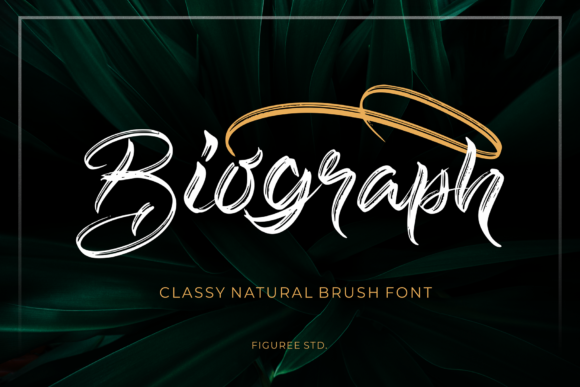 Biograph: The Authentic Script Font for Your Brand