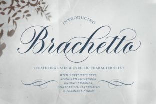 Brachetto: A Modern Script Font for Your Brand