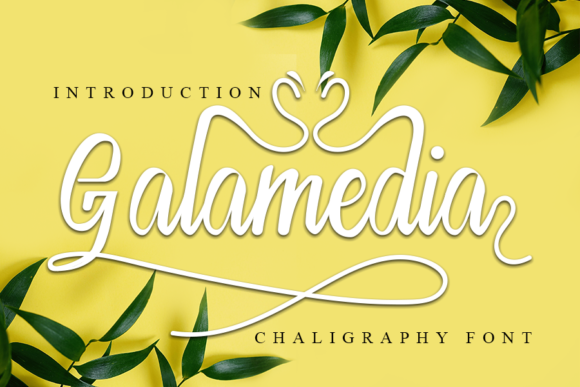 Galamedia: A Premium Handwritten Font for Web Design