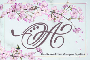 Hand Lettered Effect Monogram: A Romantic Script Font